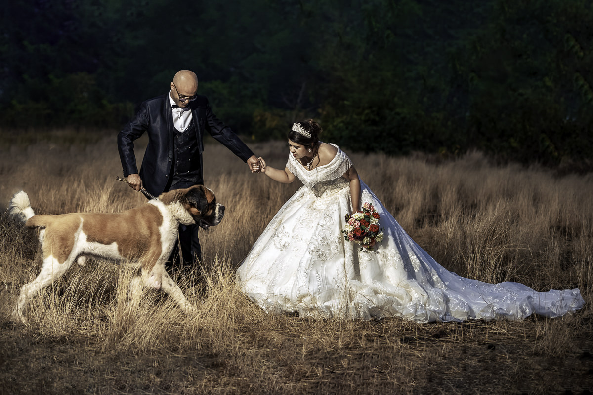 Photooneil Photography - Wedding Photographers at post wedding Donapaula, Goa pets